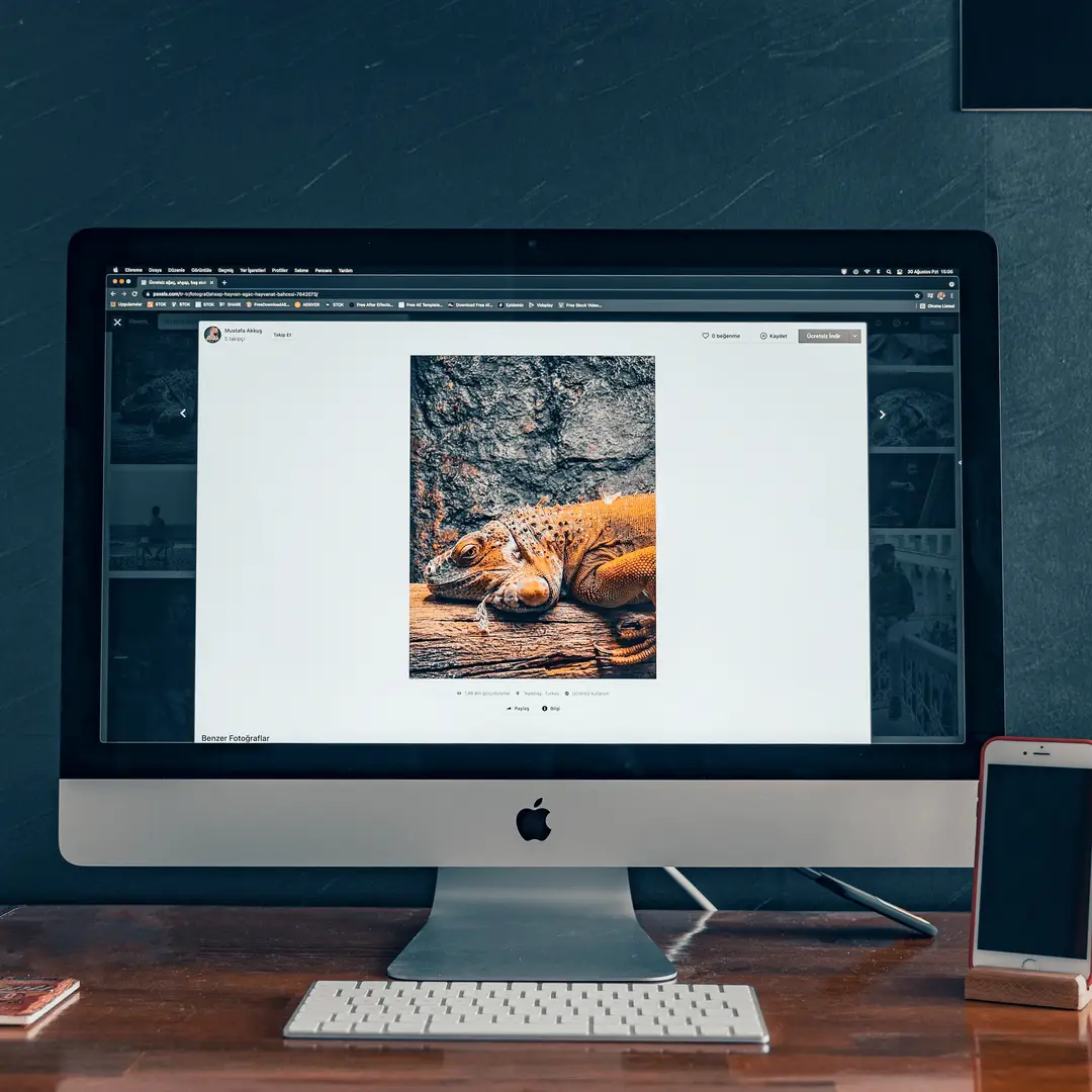 Webdesign Bautzen mobilfreundlich gestaltet